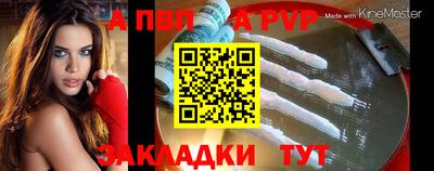 прущие грибы Пушкино