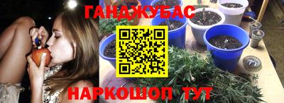 прущие грибы Пушкино