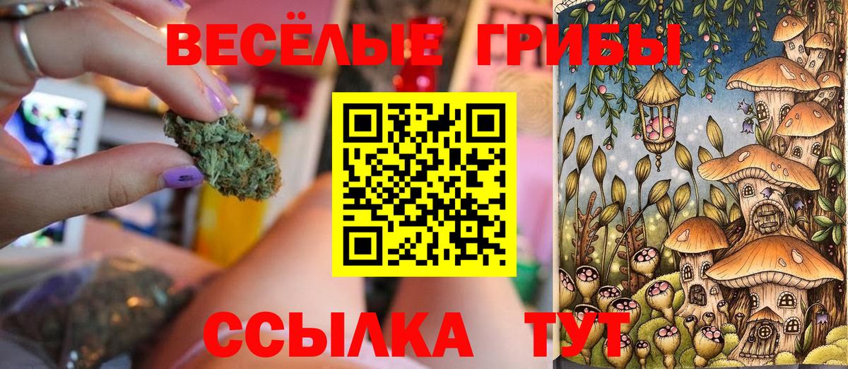Петропавловск-Камчатский  закладки  Псилоцибиновые грибы прущие грибы  Вход с VPN  Галлюциногенные грибы Magic Shrooms 